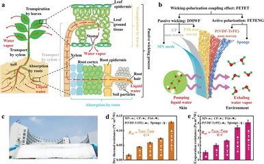 AFMG 高性能纤维及复合材料制造 引领材料科技的未来