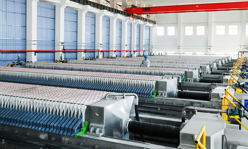 焦作产业“老树”绽新枝 高性能纤维与复合材料制造引领新质生产力发展